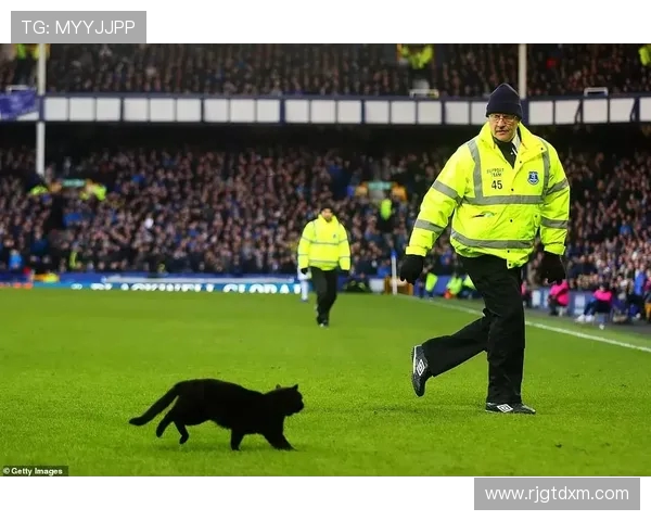 英超历史上伦敦球队最多的一个赛季是哪一年？